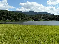 Namwon Countryside - Suji Myeon - 2010(1)