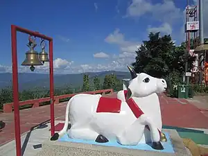 Shiva's sacred bull, Nandi, at Haidakhan Babaji ashram, Chilianola