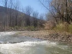 There Is A Creek Of Water At A Angle And Turns Right In The Wood's.