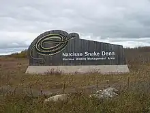 Image 13Narcisse Snake Dens welcome sign (from Narcisse Snake Dens)