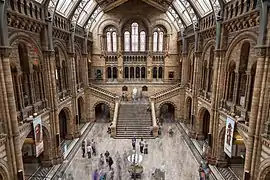 The Natural History Museum, London