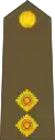 Lieutenant