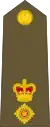 Lieutenant-colonel