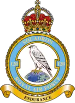 Squadron badge