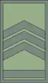 Постар водникPostar vodnik(North Macedonian Ground Forces)