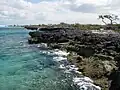 Northern rocky shore of Great Inagua exposing Pleistocene reef limestones