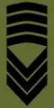 Sersjantmajor(Norwegian Army)