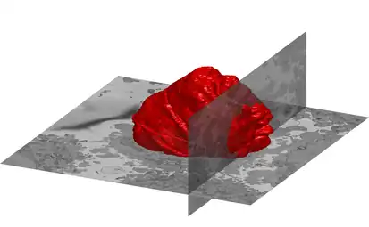 A volumetric surface render (red) of the nuclear envelope of one HeLa cell. The cell was observed in 300 slices on electron microscopy and the nuclear envelope was automatically segmented and rendered. One vertical and one horizontal slice are added for reference.