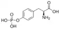 Phosphotyrosine