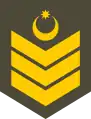 Baş çavuş(Azerbaijani Land Forces)