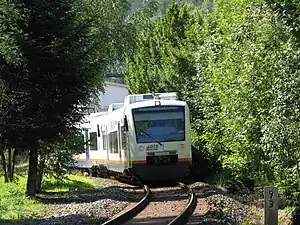 White train bracketed by trees