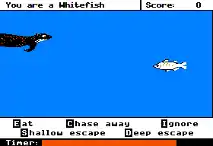 Screenshot from the Apple II version of the Odell Lake game.