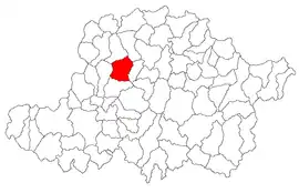 Location in Arad County