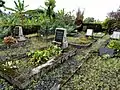 Old German Tombs in Buea