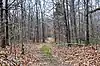 Old Natchez Trace