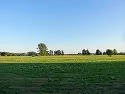 Fields in Olimpin