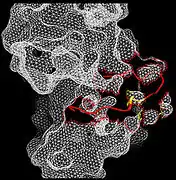 Figure 4. Open conformation in active FRFR1 kinase