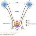 Guidance of axon crossing and non-crossing during development.