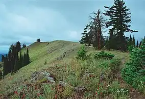 A trail atop Oregon Butte.