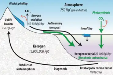 Kerogen cycle