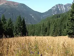 Pass in Tatras (Ornak, Poland).