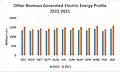 Other Biomass Generated Electric Energy Profile 2022-2021