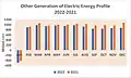 Other Sources of Electric Energy Generation Profile 2022-2021