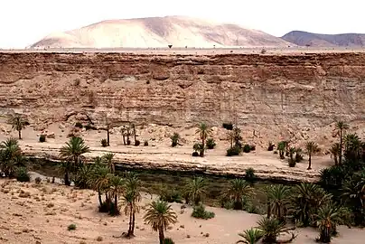 Oued Tissint, Morocco, North Africa