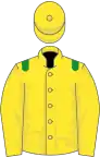 Yellow, green epaulets