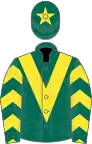 Dark green, yellow chevron and chevrons on sleeves, dark green cap, yellow star