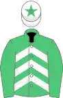 EMERALD GREEN and WHITE CHEVRONS, emerald green sleeves, white cap, emerald green star