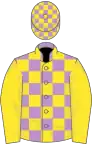 Mauve and yellow check, yellow sleeves