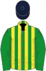 Green and yellow stripes, green sleeves, dark blue cap