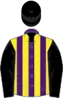 Purple and yellow stripes, black sleeves and cap