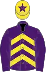 Purple, yellow chevrons, purple sleeves, yellow cap, purple star