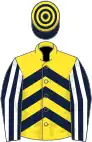 Yellow, dark blue chevrons, blue and white striped sleeves, dark blue and yellow hooped cap