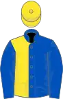 Royal blue and yellow (halved), royal blue sleeves, yellow cap