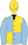 Yellow and light blue (quartered), blue sleeves, yellow cap