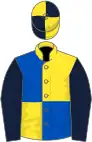 Yellow and royal blue (quartered), dark blue sleeves, yellow and dark blue quartered cap