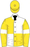 Yellow and white quartered, yellow sleeves, white armlets, yellow cap