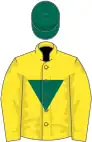 Yellow, dark green inverted triangle, yellow sleeves, dark green cap