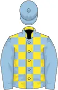 Yellow, light blue checked, light blue sleeves, light blue cap