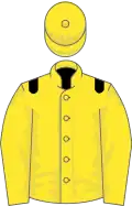 Yellow, black epaulets