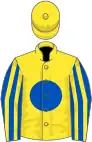 Yellow, royal blue disc, royal blue and yellow striped sleeves