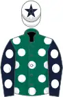 Dark green, white spots, dark blue sleeves, white spots, white cap, dark blue star