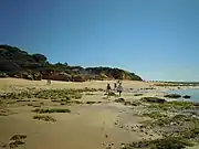 the eastern end of the beach is alternatively called Praia dos Bicos.