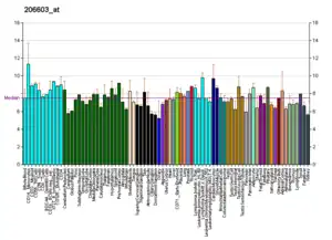 An RNA Expression diagram.