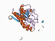 1aye: HUMAN PROCARBOXYPEPTIDASE A2