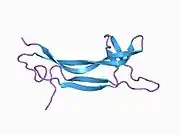 1bet: NEW PROTEIN FOLD REVEALED BY A 2.3 ANGSTROM RESOLUTION CRYSTAL STRUCTURE OF NERVE GROWTH FACTOR