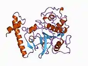 1by8: THE CRYSTAL STRUCTURE OF HUMAN PROCATHEPSIN K